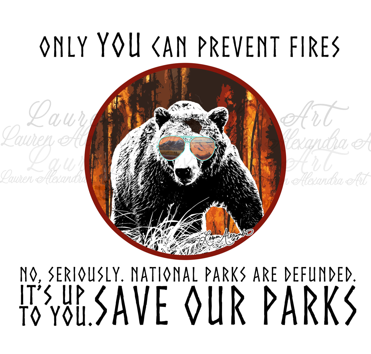 Save Our National Parks Insulated Water Bottle 20oz - Support Conservation, Environment Awareness Bear Design, Hiking Camping Travel Accessories